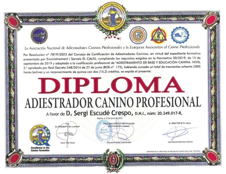 diploma adiestrador canino profesional Sergi Esud茅