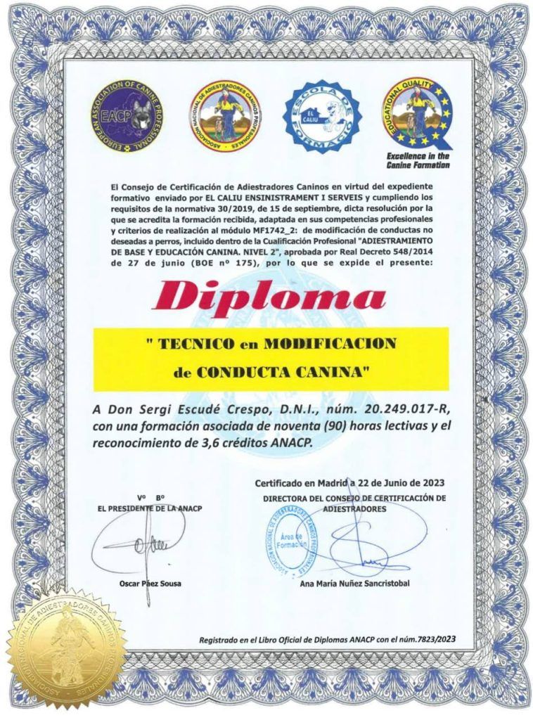 diploma t茅cnico de modificaci贸n de conducta canina Sergi Esud茅